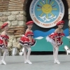 VI            -   -     2018